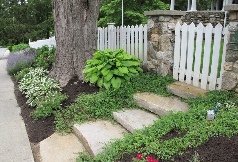 酒店 Hilltop House Bed & Breakfast