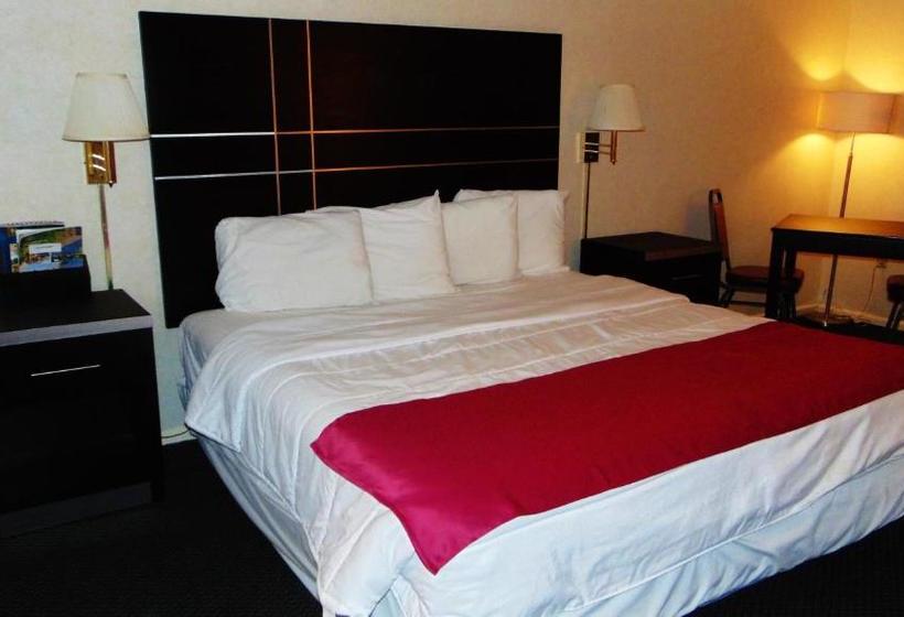 فندق Oceanside Lodge