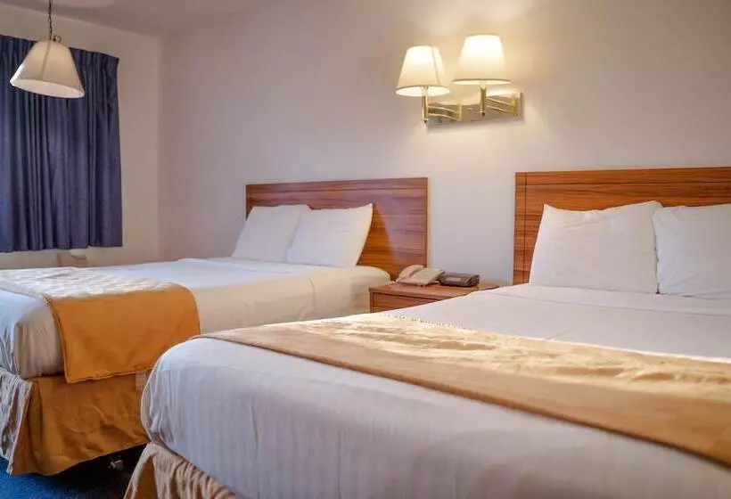 モーテル Haysville Express Inn