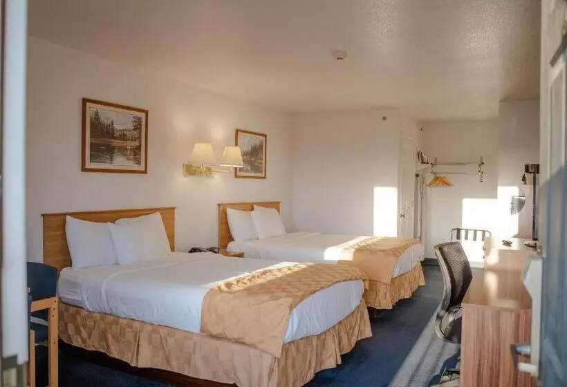 モーテル Haysville Express Inn
