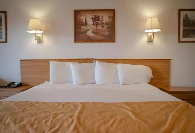 モーテル Haysville Express Inn