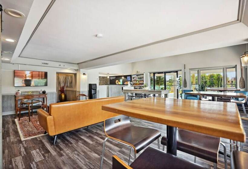 מוטל The Guest Lodge Gainesville