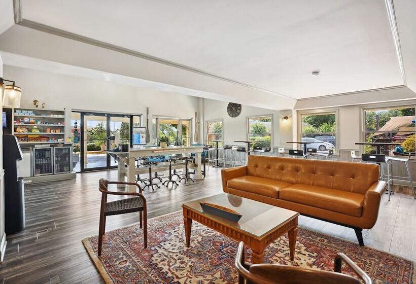 מוטל The Guest Lodge Gainesville