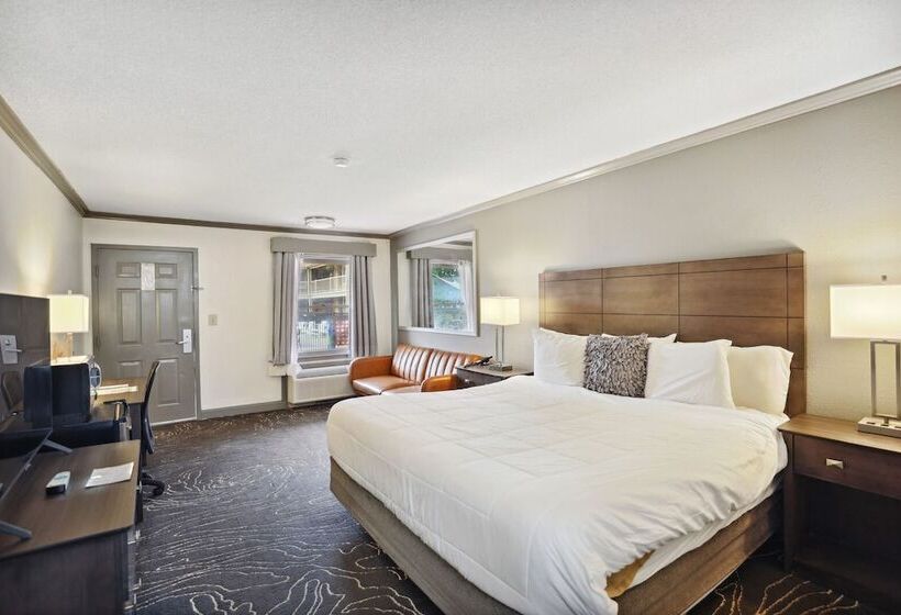 מוטל The Guest Lodge Gainesville