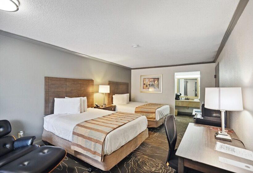 מוטל The Guest Lodge Gainesville