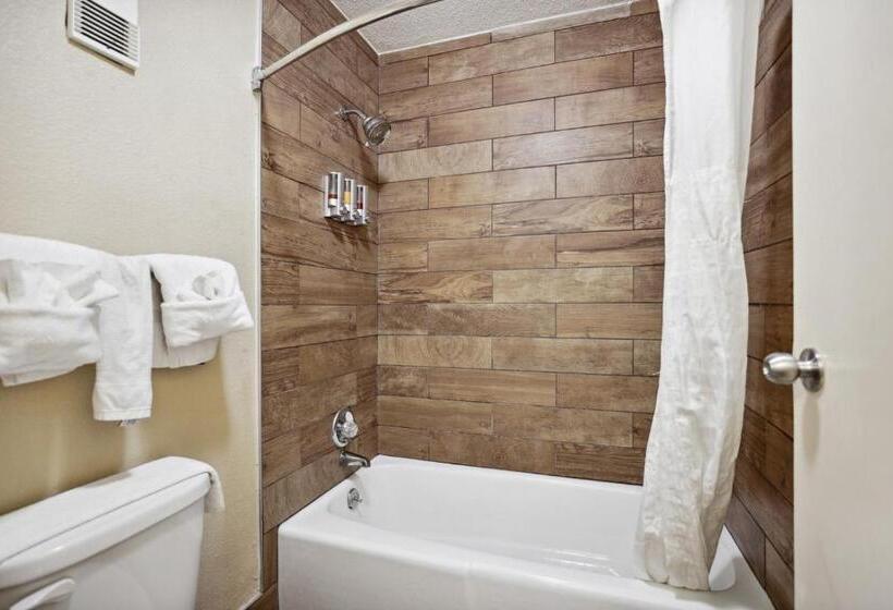 מוטל The Guest Lodge Gainesville