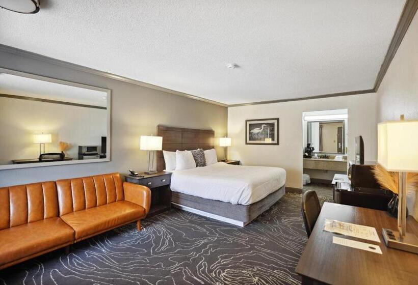 מוטל The Guest Lodge Gainesville