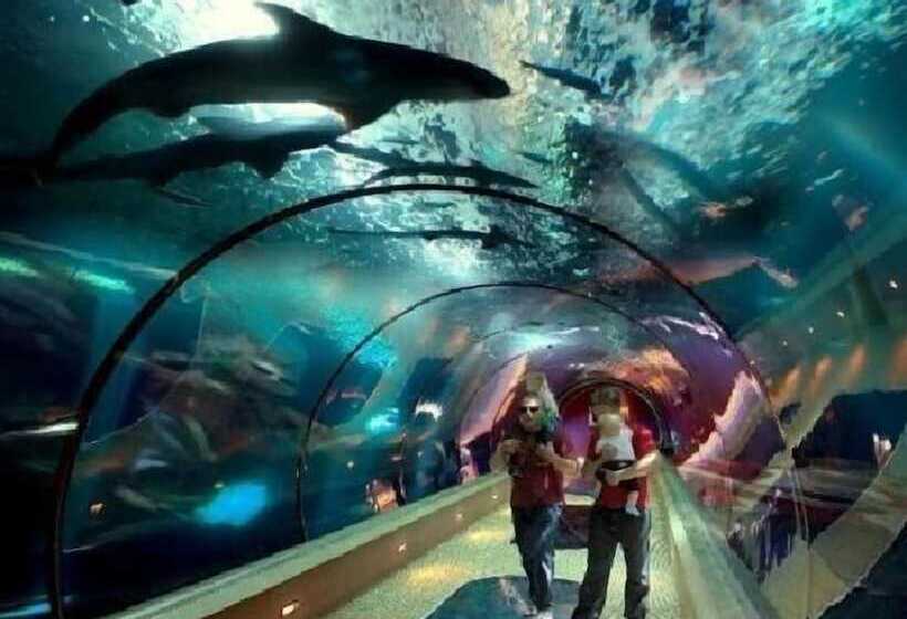 Summer Wind Budget Motel