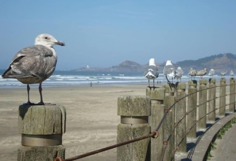 Summer Wind Budget Motel