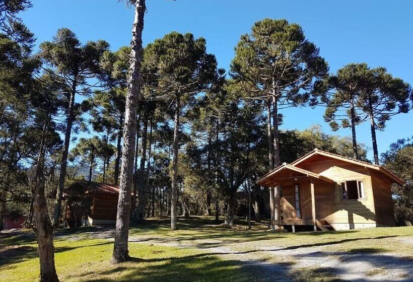 בית מלון כפרי Pousada Cajuva