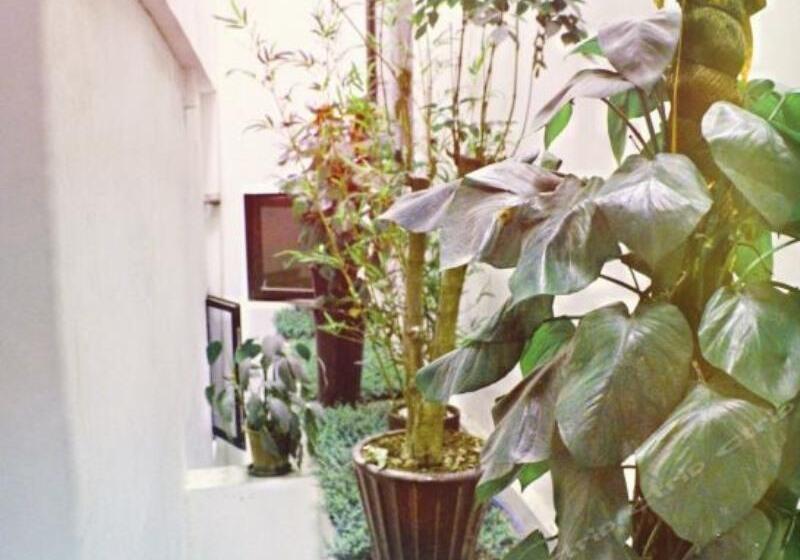 Hotel Greentree Inn Shanghai South Railway Station Xujiahui Stadium Subway Station Shell