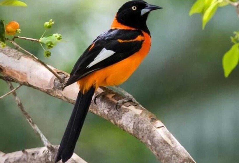 ベッドアンドブレックファースト Colores De La Sierra