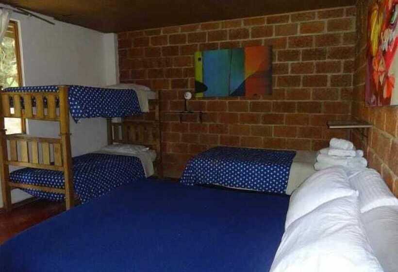 ベッドアンドブレックファースト Colores De La Sierra