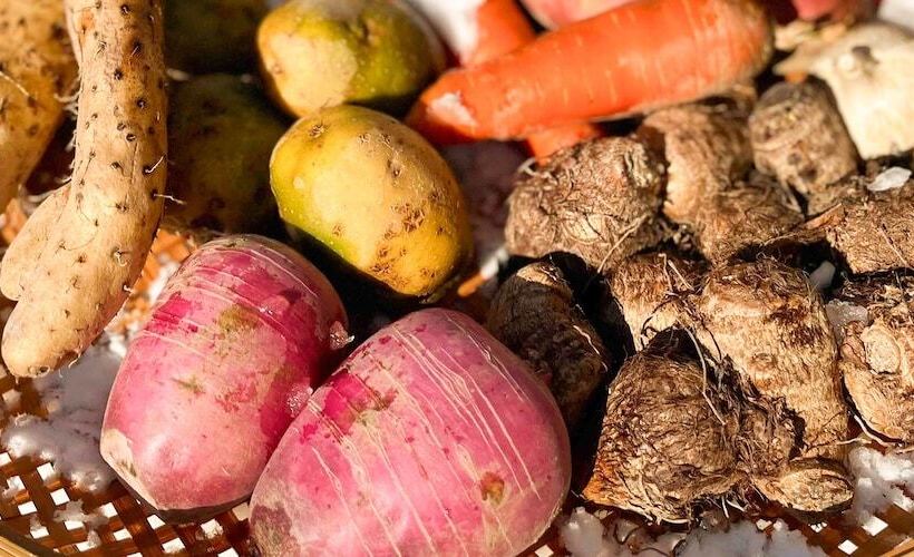 בית מלון כפרי Ishiuchi Ski Center