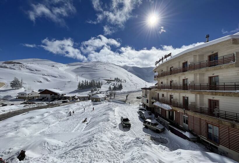 هتل L'escale Du Mzaar