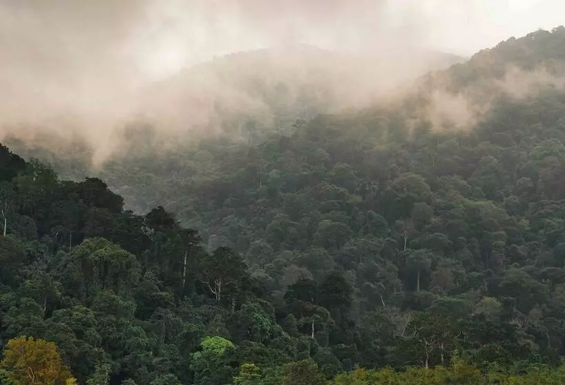 ホテル The Boathouse Pulau Tioman