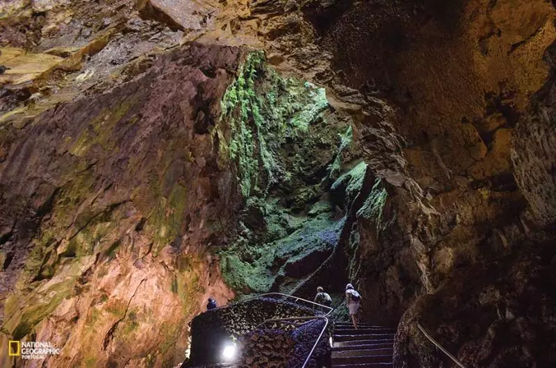 Partenope Hostel And Suites