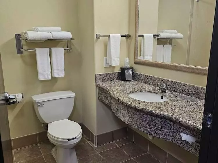 Hotelli Express Inn Leesville Ft Johnson, Surestay Collection By Bw