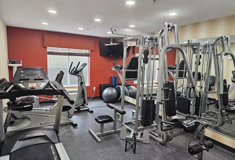 Hotelli Express Inn Leesville Ft Johnson, Surestay Collection By Bw