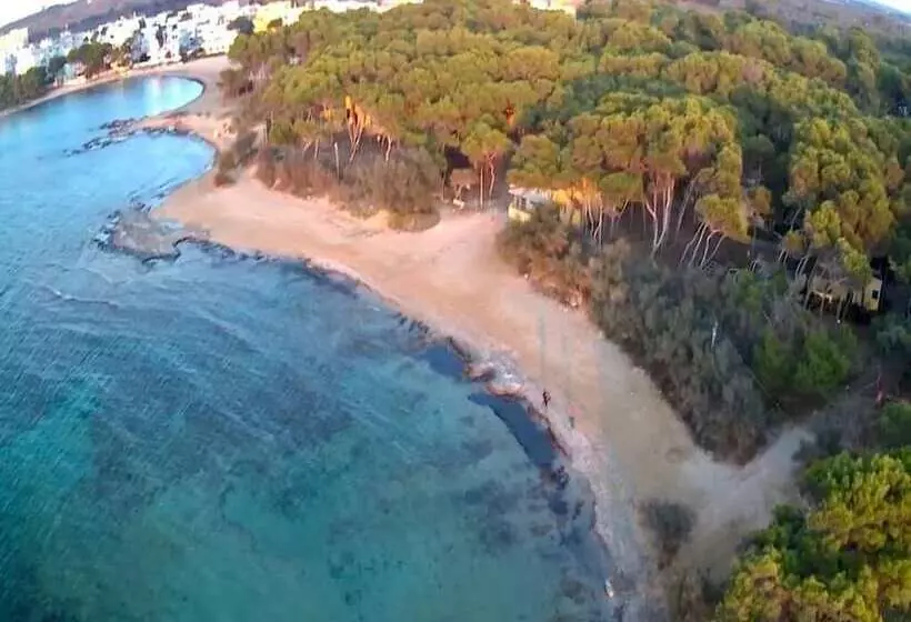 Hotelli Happy Camp Mobile Homes In Camping La Vecchia Torre