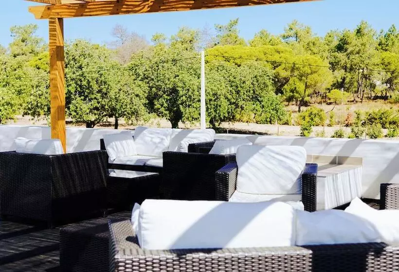 Mercedes Country House