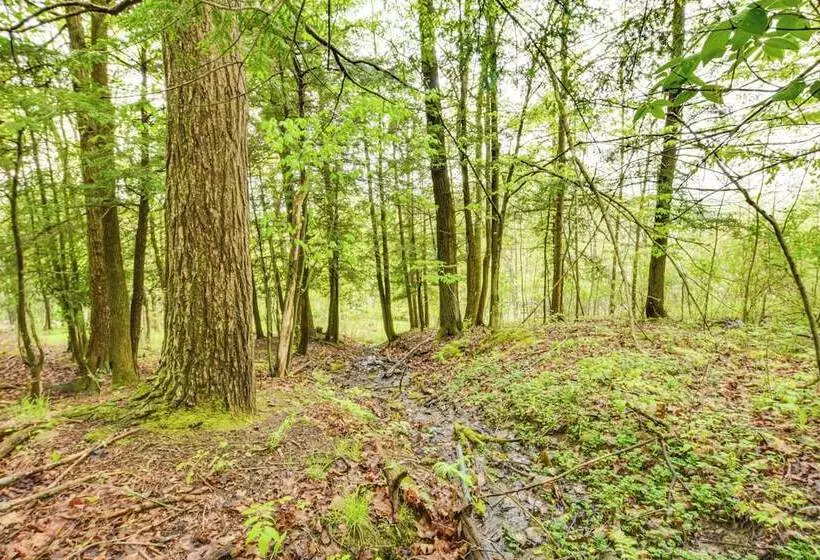 Mountain View Home In Great Valley W/ Large Yard!