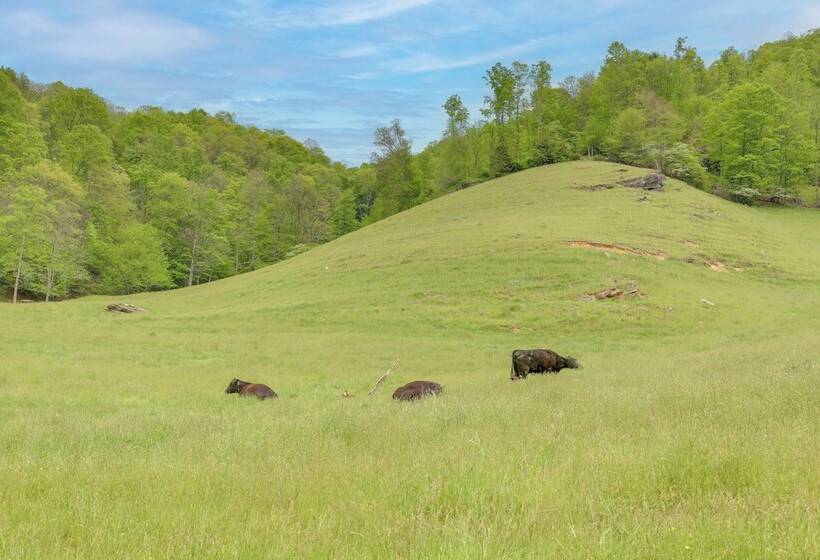 Hike & Relax: Blue Ridge Mountain Retreat!