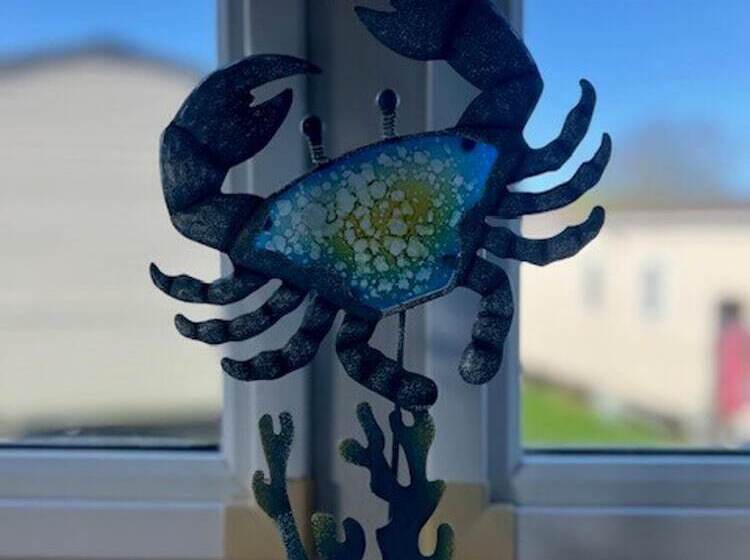 酒店 Caravan At Newquay Bay Resort   3 Bedrooms