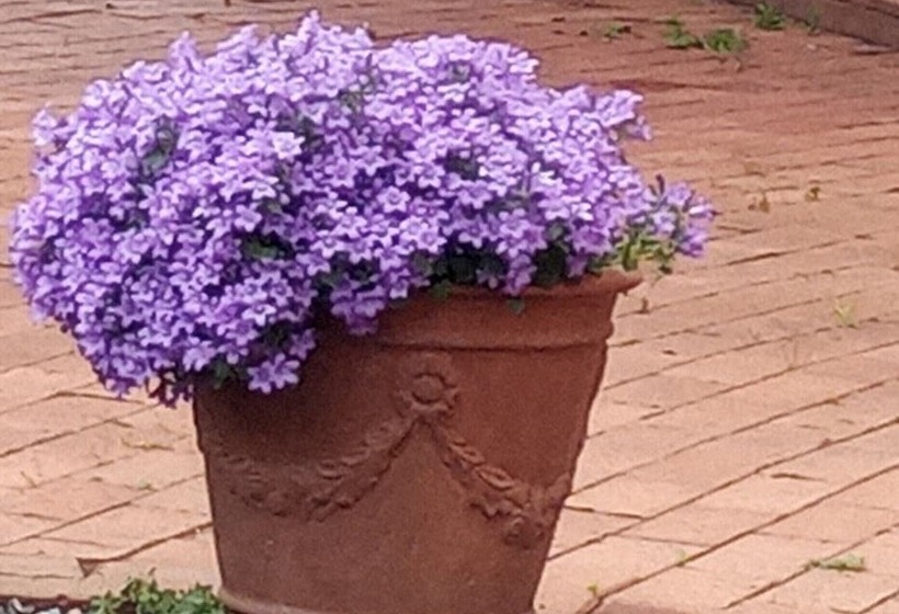 پانسیون Suite B&b, Private 2 Bedrooms Living And Pool No Kitchen