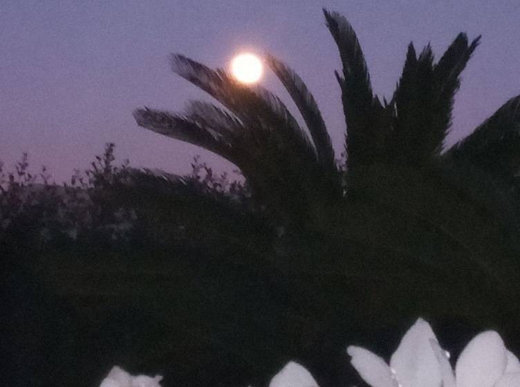 پانسیون Suite B&b, Private 2 Bedrooms Living And Pool No Kitchen