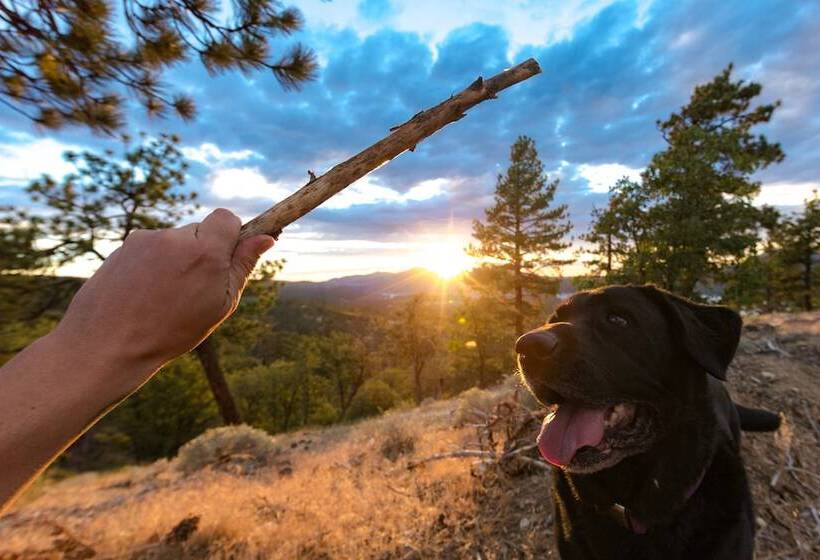 Your Happy Place #2216