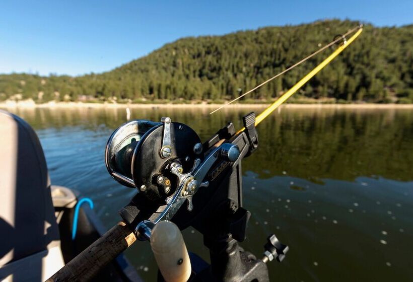 Your Happy Place #2216