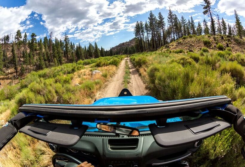 Your Happy Place #2216