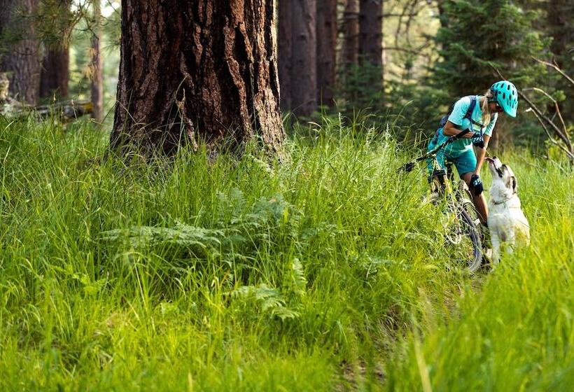 Your Happy Place #2216