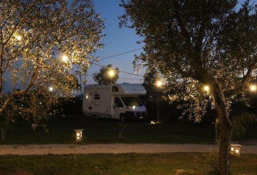 فندق Campeggio In Fattoria