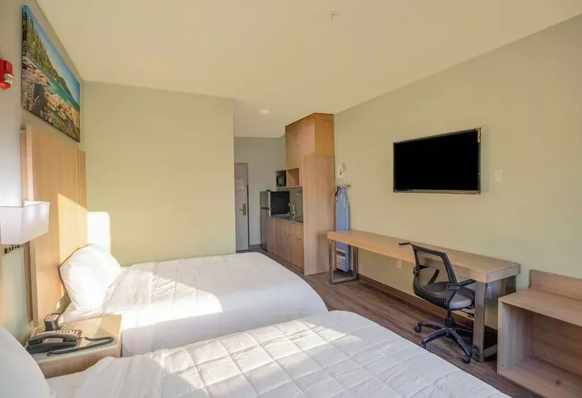 Oyo Hotel Adairsville Calhoun South I 75