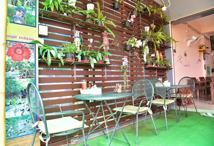 פנסיון Bamboo Gold