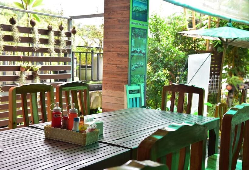 פנסיון Bamboo Gold