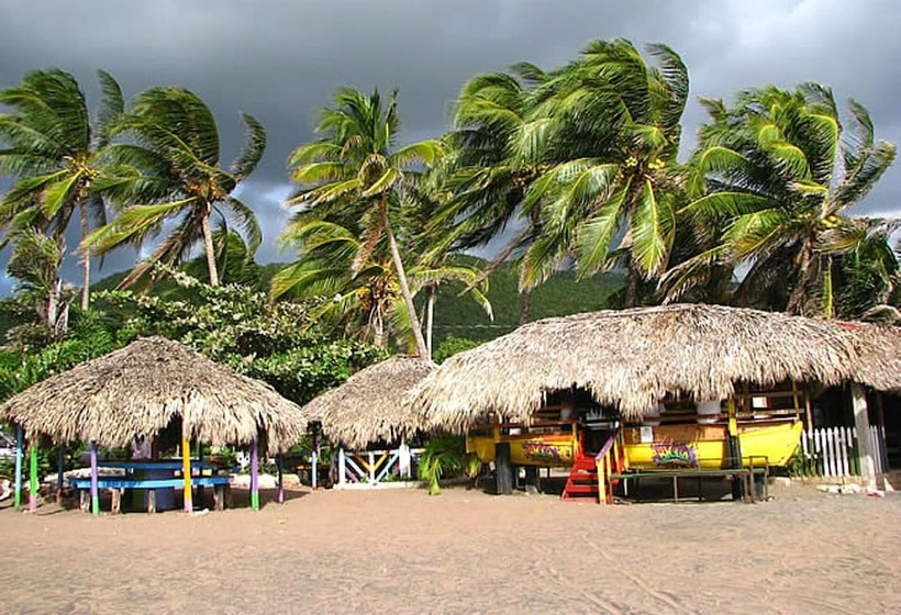 דירת נופש 1 Bedroom Blissful Retreat   A/c & Private Garden