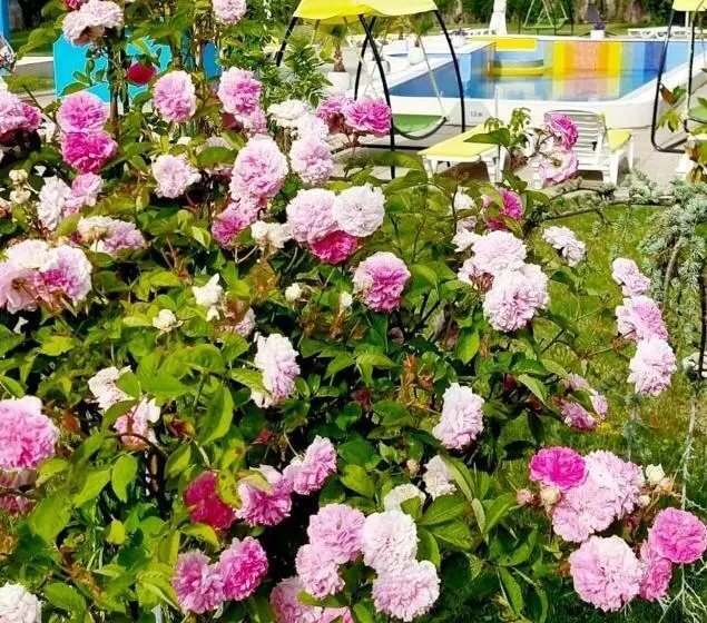 ホテル Iulia Resort