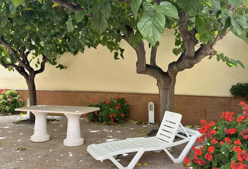 Villas Morro De Gos Oropesa 3000