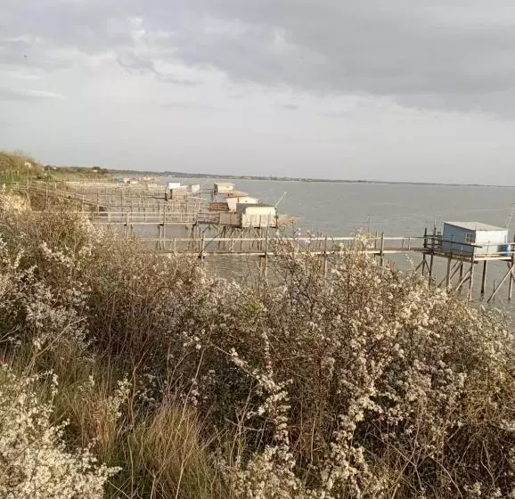 Aamiaismajoitus (B&B) Chre Cathy Et Jean Loup