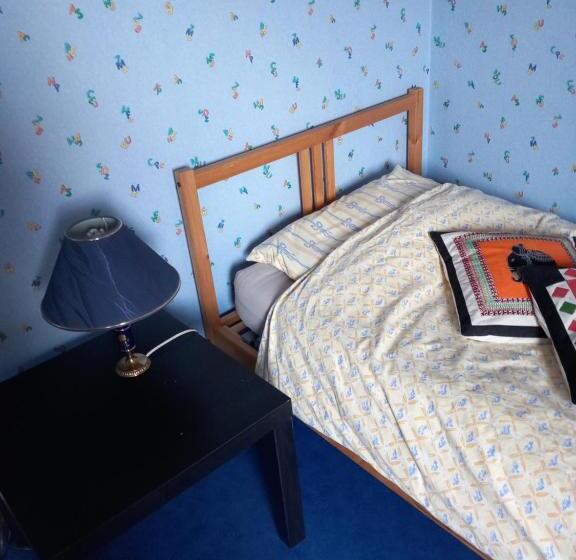 민박 Een Persoonskamer Met Ontbijt