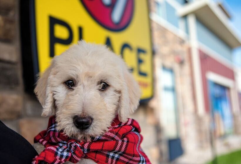 My Place Hotel Randolph, Vt