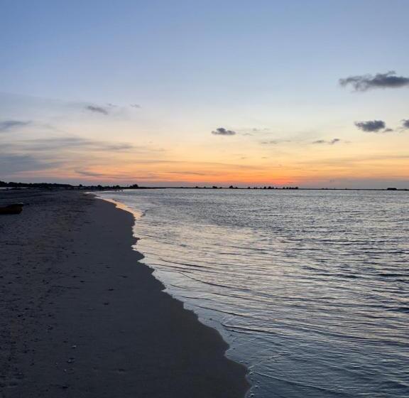 Hotel Kite House Cafe