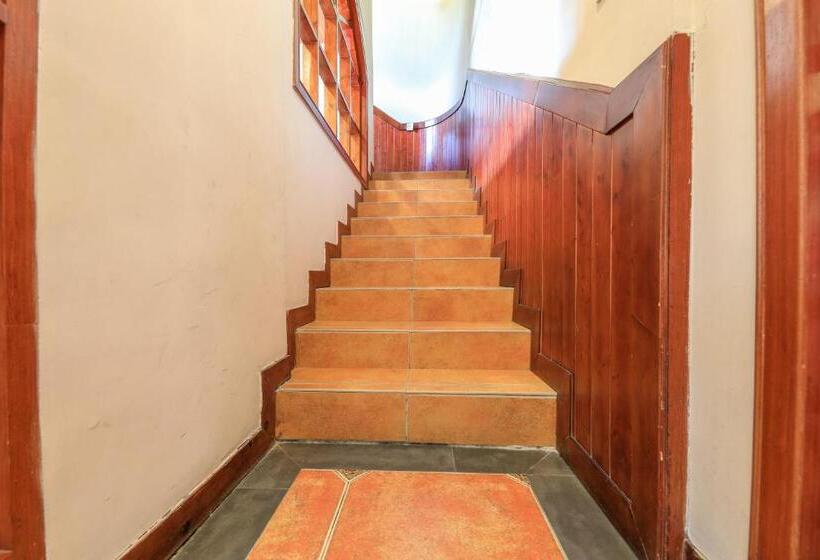 Retkeilymaja Junshe Boutique Guest House