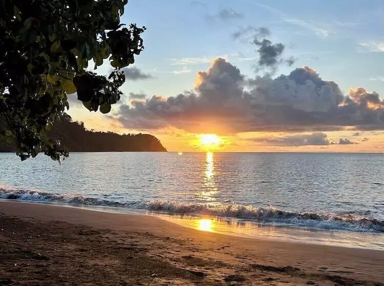 Kurrulau   Hotel Playa Pacífica