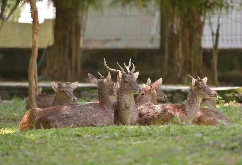 Hotelli Urbanview Syariah Wisma Nabil Solo