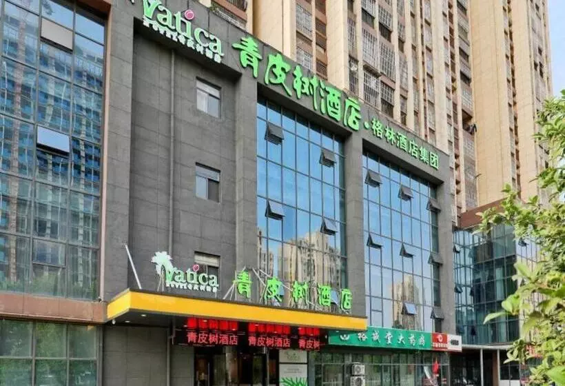 Vatica Hotel Hefei Yaohai Longgang Subway Station