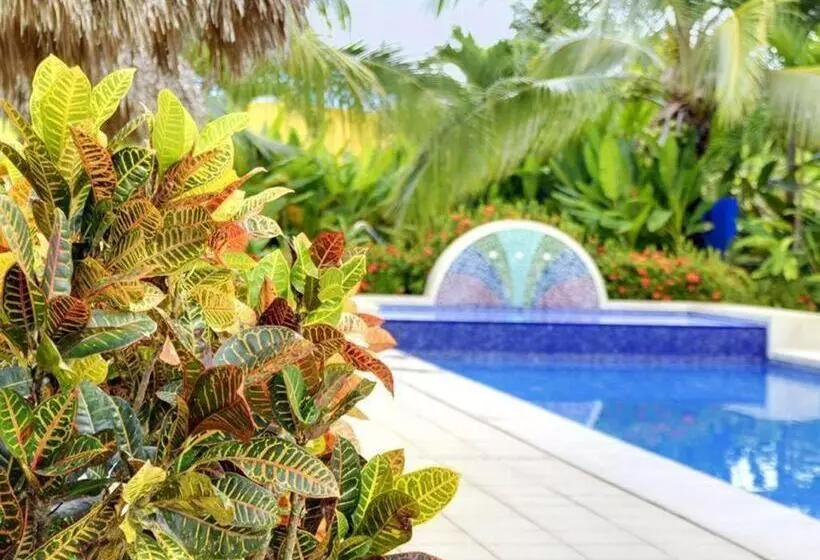 Alma Del Pacifico Beach Hotel And Spa